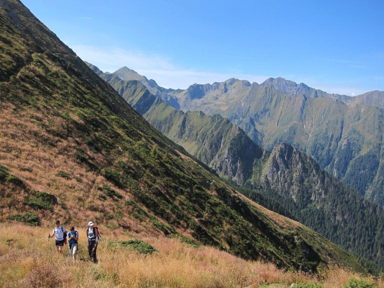Drumetie Muchia Tarata Fagaras 2014
